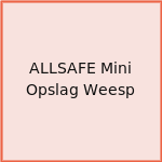 ALLSAFE Mini Opslag Weesp